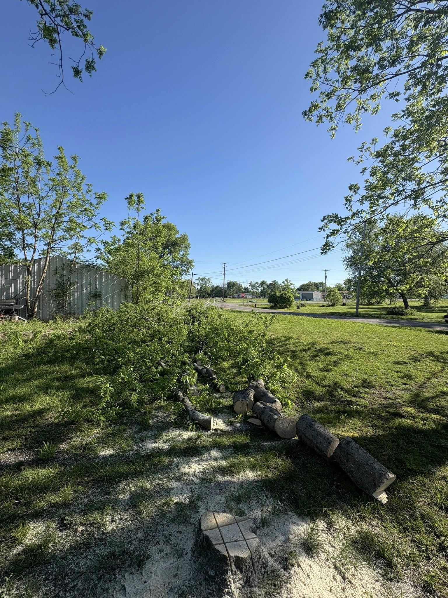 Yard cleared of brush and limbs after tree work
